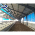 Turkey moderate Price 10000 Chickens Large Scale Automatic Chicken Broiler House Poultry Farm building design